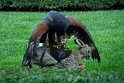 2018-09-19 11-29-56 Chateau des Milandes BMa